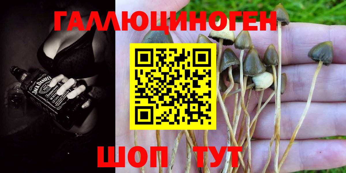 Псилоцибиновые грибы Psilocybe  Вход с VPN  Междуреченск  Галлюциногенные грибы ЛСД 